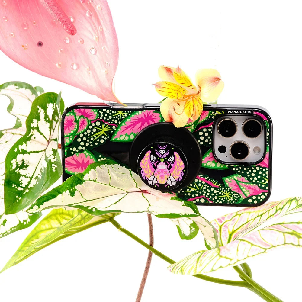 popsocketsgrip.com