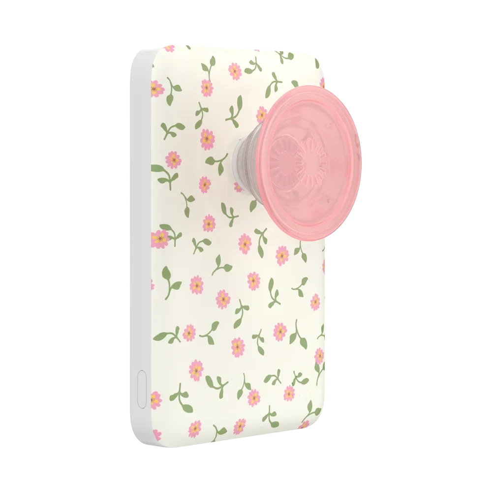 popsocketsgrip.com