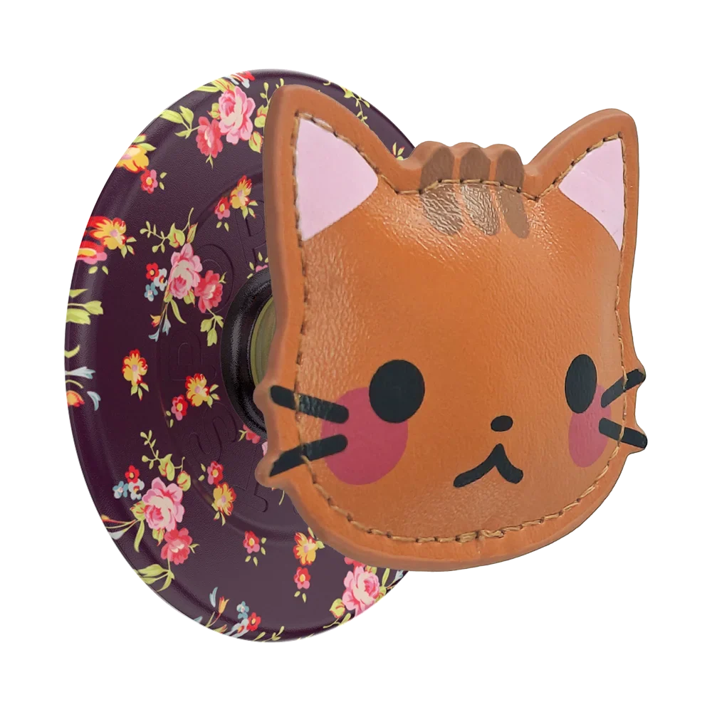 popsocketsgrip.com