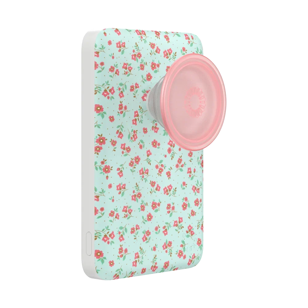 popsocketsgrip.com