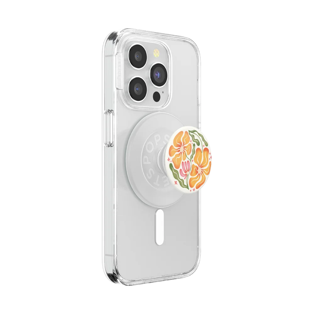 popsocketsgrip.com
