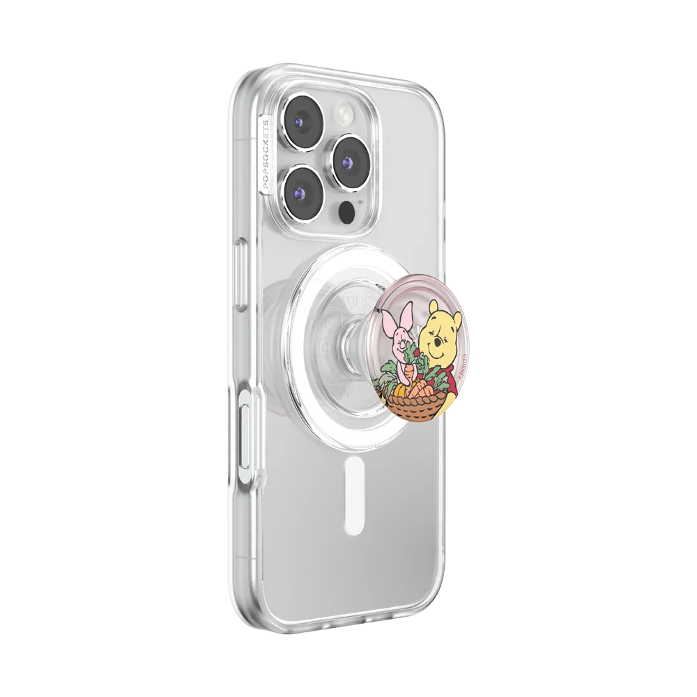 popsocketsgrip.com