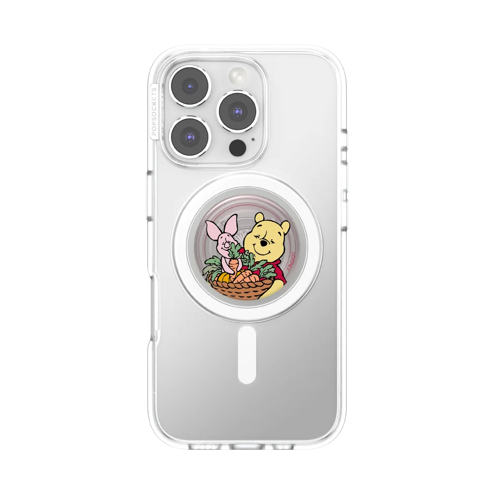 popsocketsgrip.com