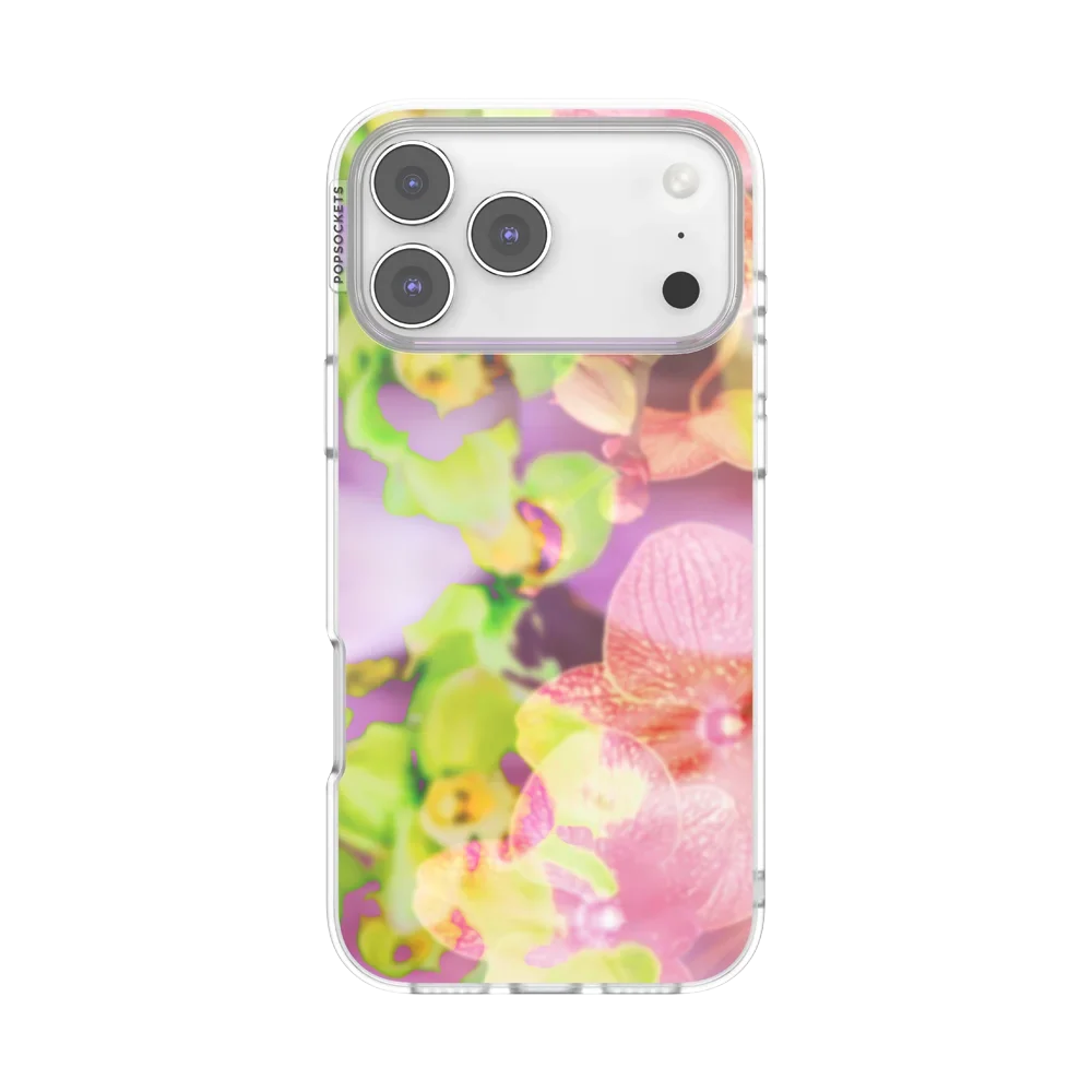 popsocketsgrip.com