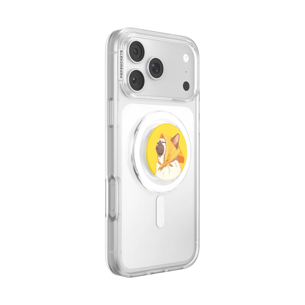 popsocketsgrip.com