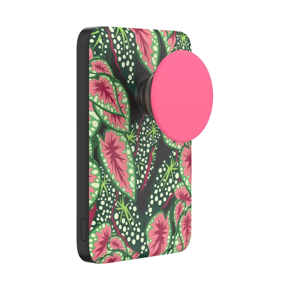 popsocketsgrip.com