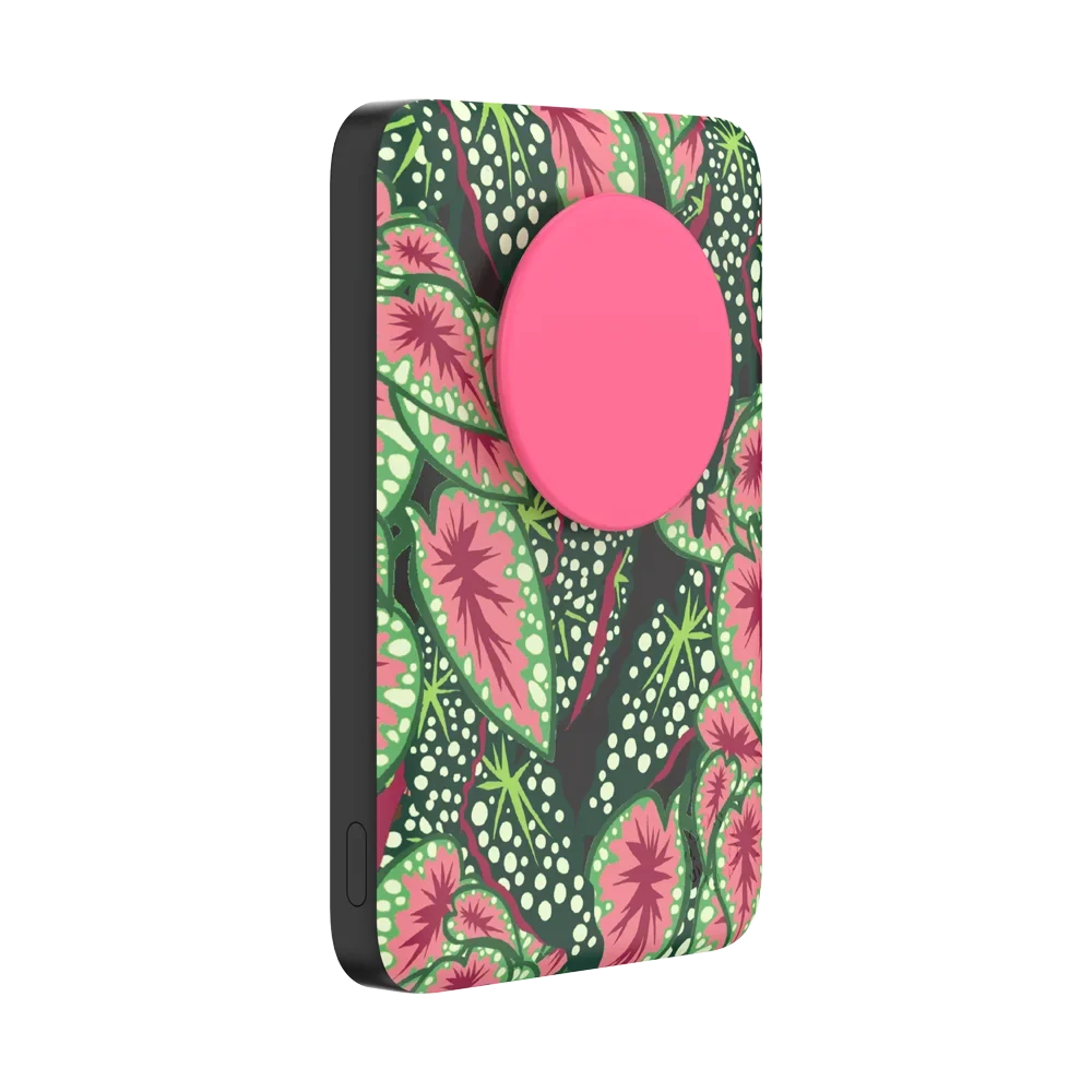 popsocketsgrip.com
