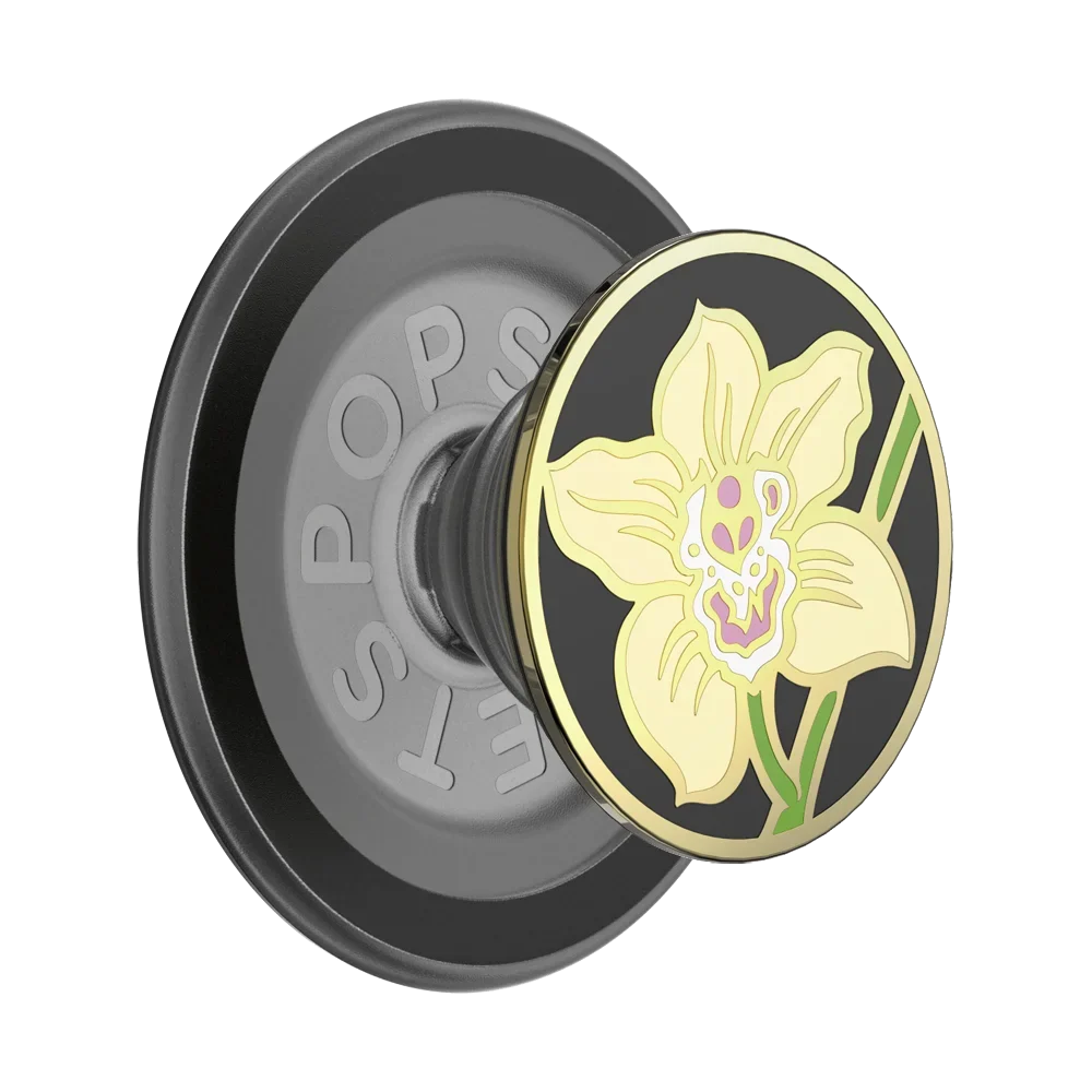 popsocketsgrip.com