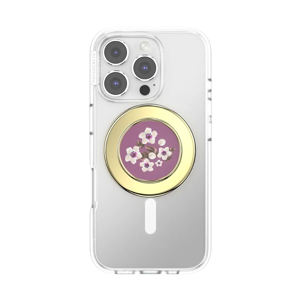 popsocketsgrip.com