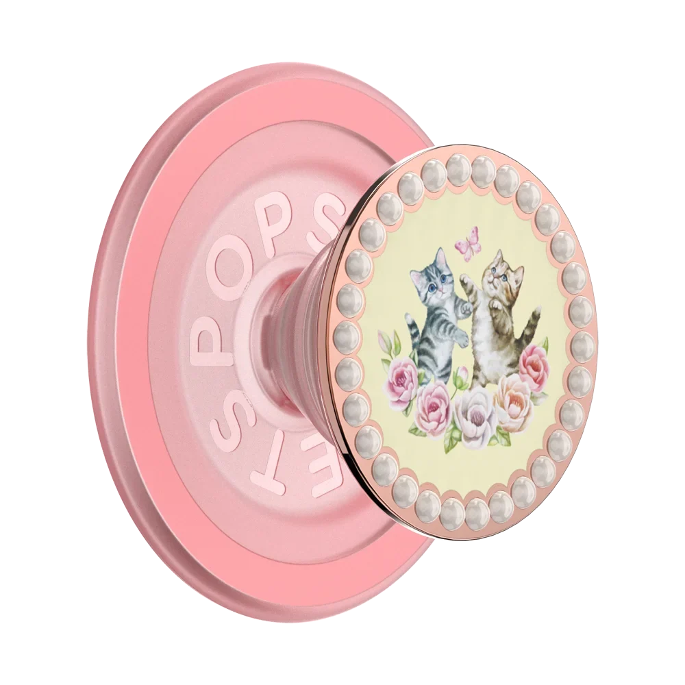 popsocketsgrip.com