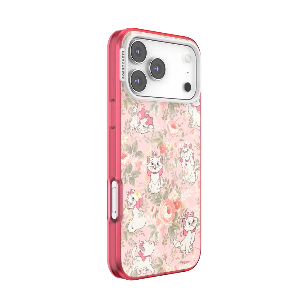 popsocketsgrip.com