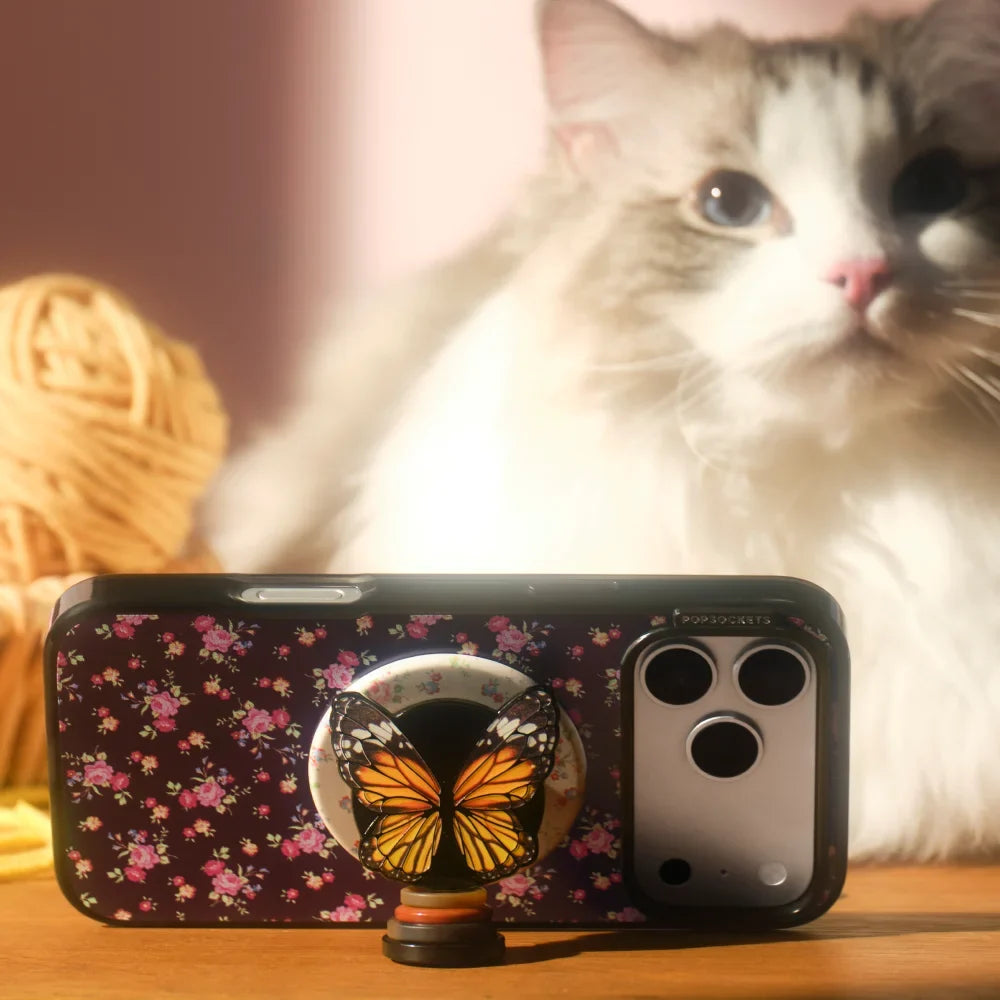 popsocketsgrip.com
