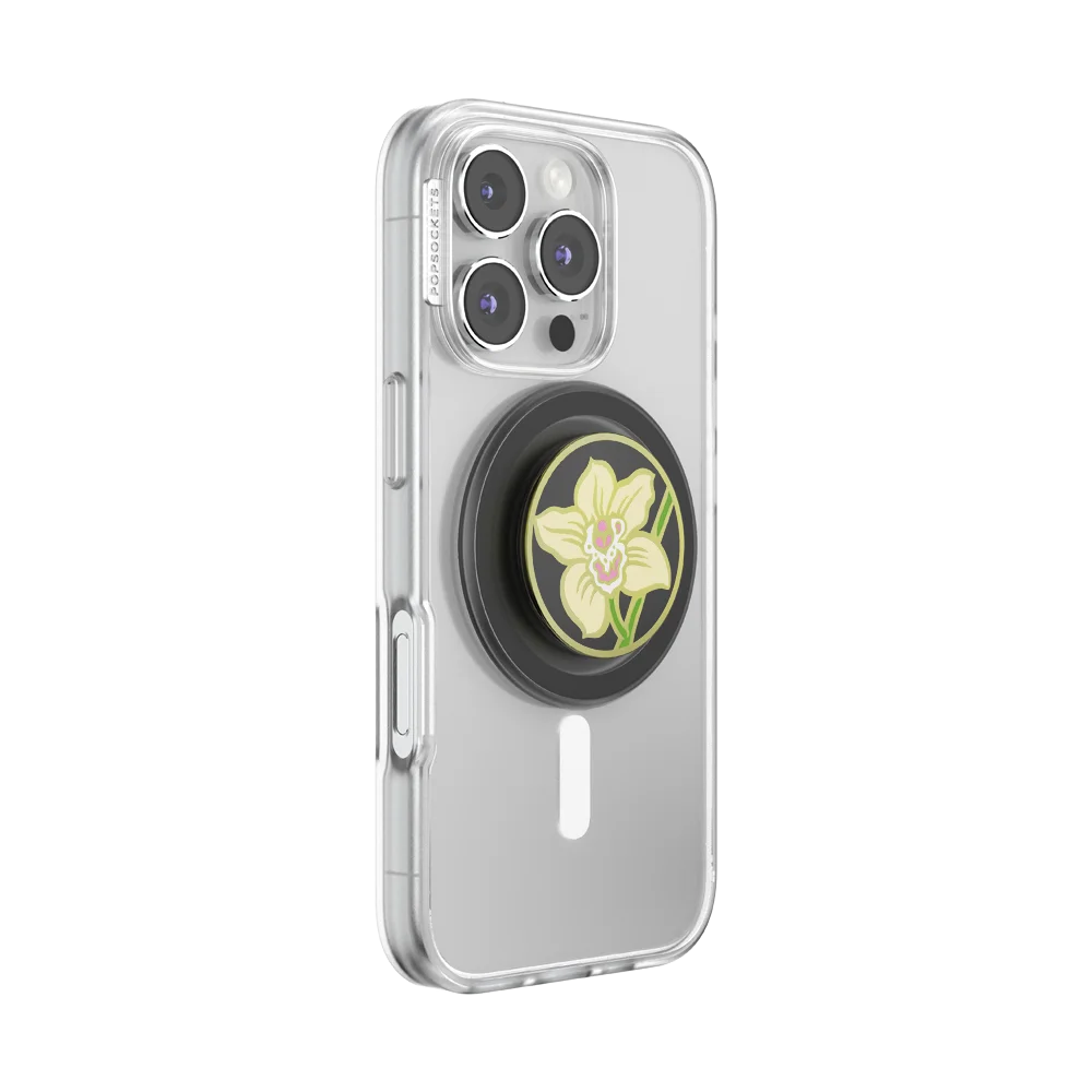 popsocketsgrip.com