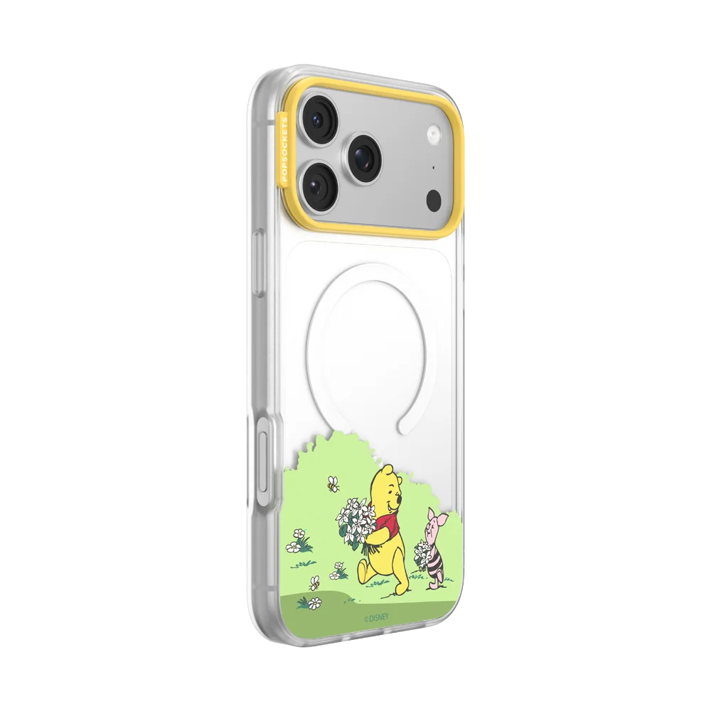 popsocketsgrip.com