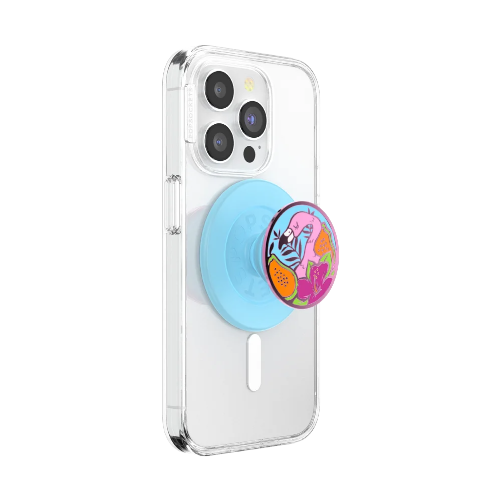 popsocketsgrip.com
