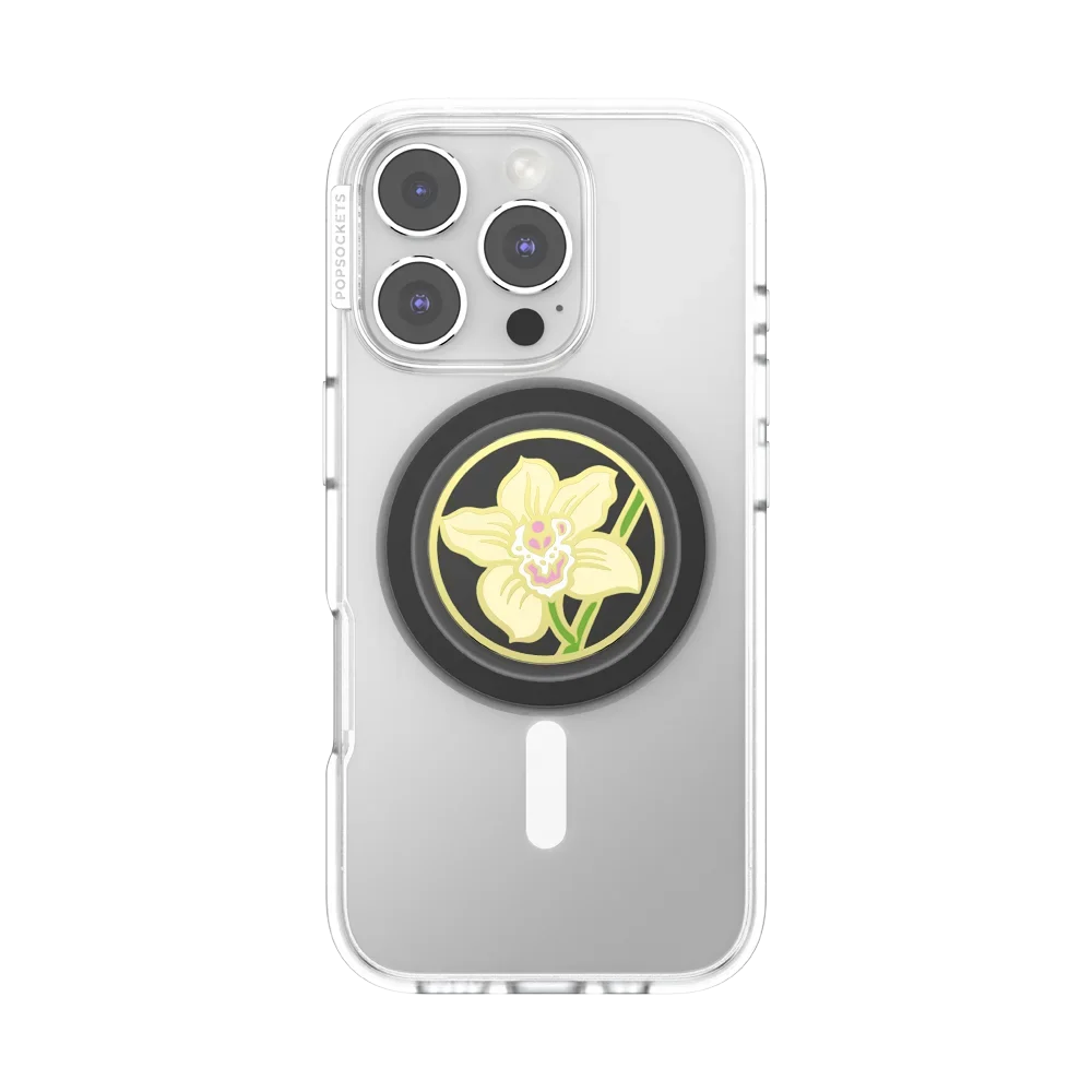 popsocketsgrip.com