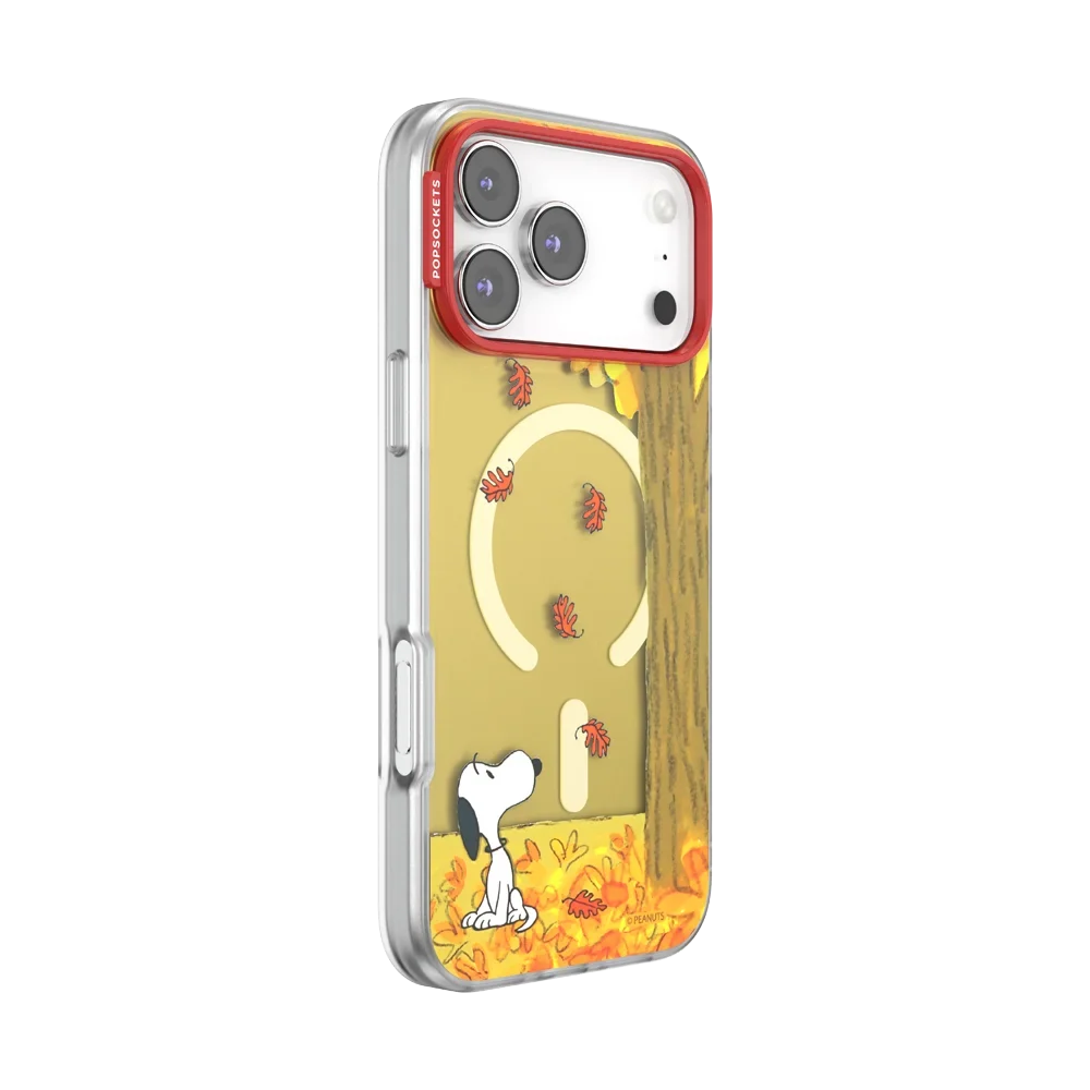 popsocketsgrip.com