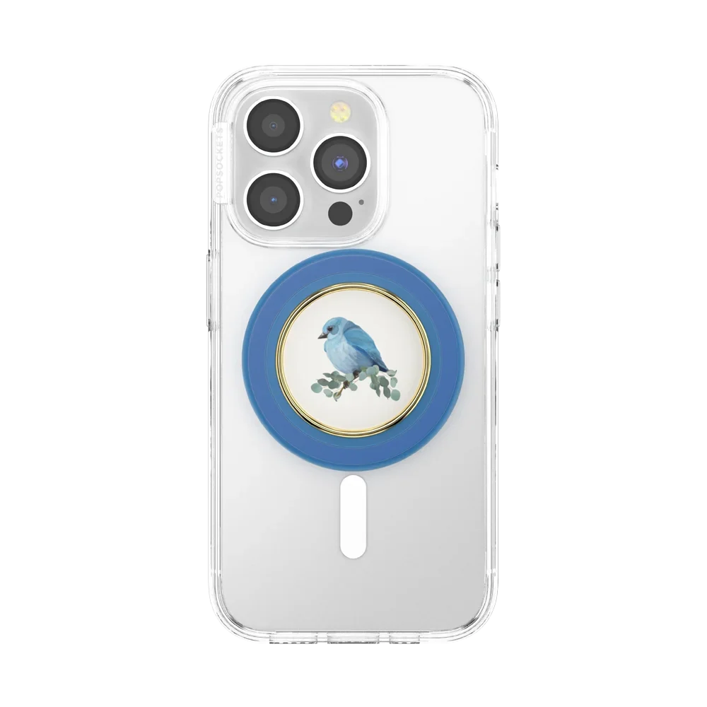 popsocketsgrip.com