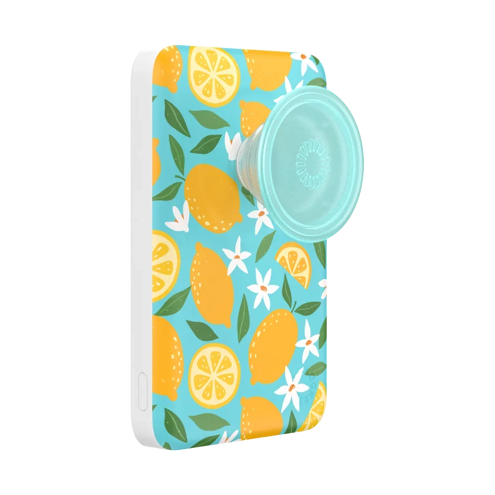 popsocketsgrip.com