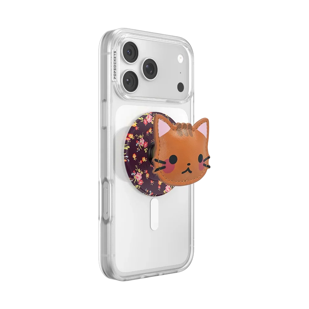 popsocketsgrip.com