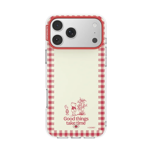 Winnie Pooh Case